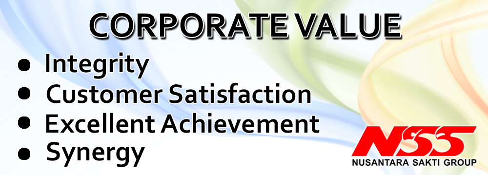 Home Banner NSG : Corporate Value